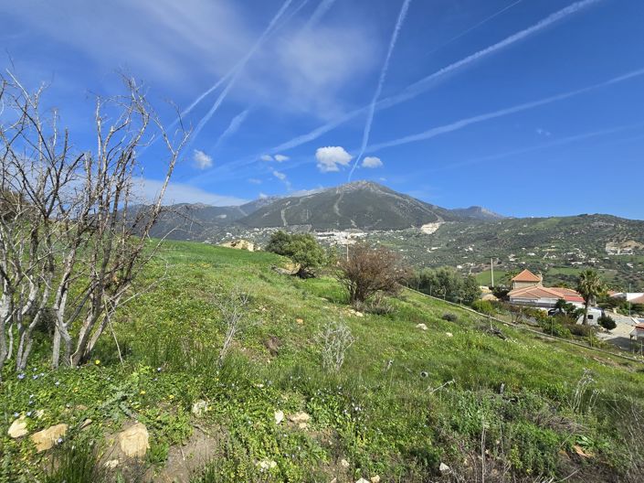 Image No.16-3 Bed Villa for sale