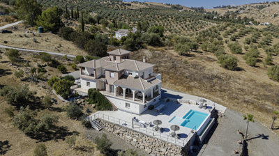 1385-villa-for-sale-in-los-romanes-49285-larg