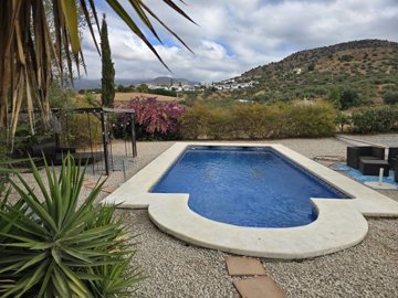 1396-villa-for-sale-in-alcaucin-49817-large