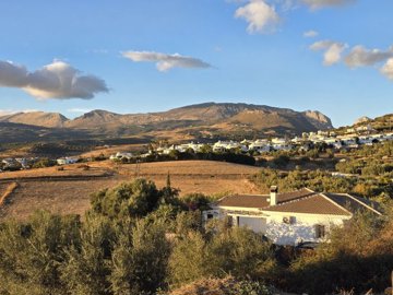 1396-villa-for-sale-in-alcaucin-49856-large