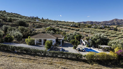 1396-villa-for-sale-in-alcaucin-49866-large