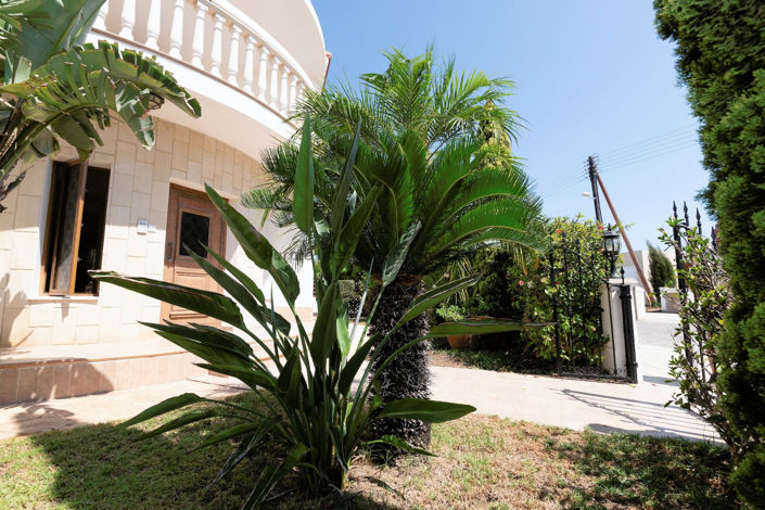 Image No.45-3 Bed Villa for sale