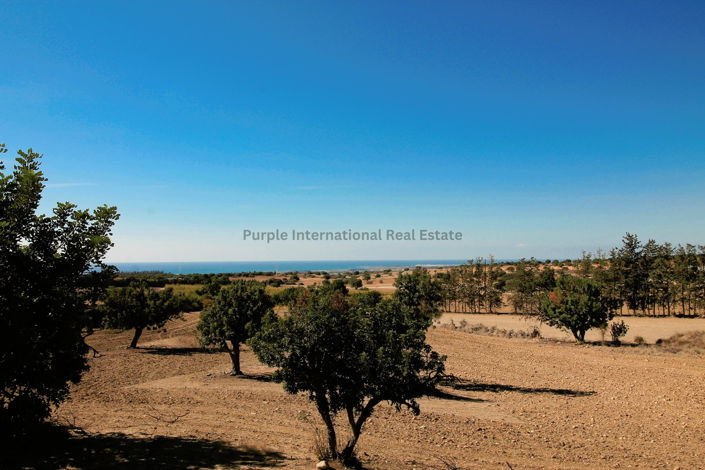 Image No.29-7 Bed Villa for sale