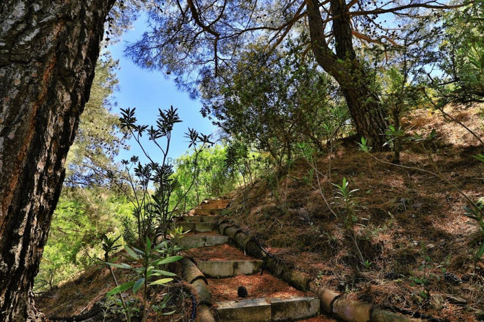 Image No.29-3 Bed Villa for sale