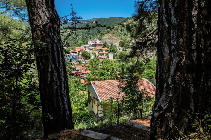 Image No.31-3 Bed Villa for sale