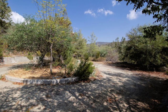 Image No.42-3 Bed Villa for sale