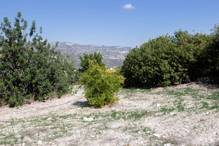 Image No.3-1 Bed House for sale