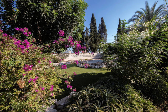 Image No.43-5 Bed Villa for sale