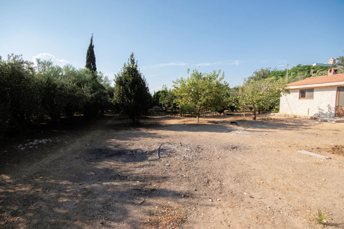 Image No.50-5 Bed Villa for sale