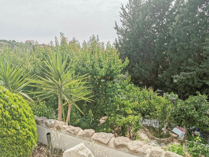 Image No.26-3 Bed Villa for sale