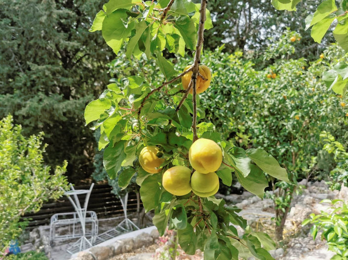 Image No.28-3 Bed Villa for sale