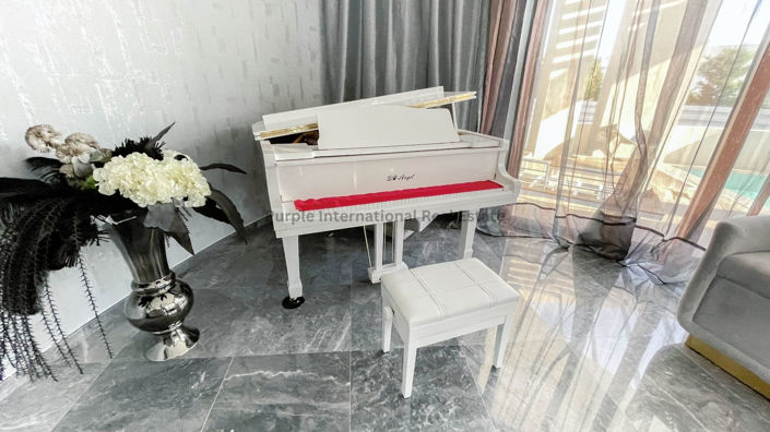 Image No.7-5 Bed Villa for sale