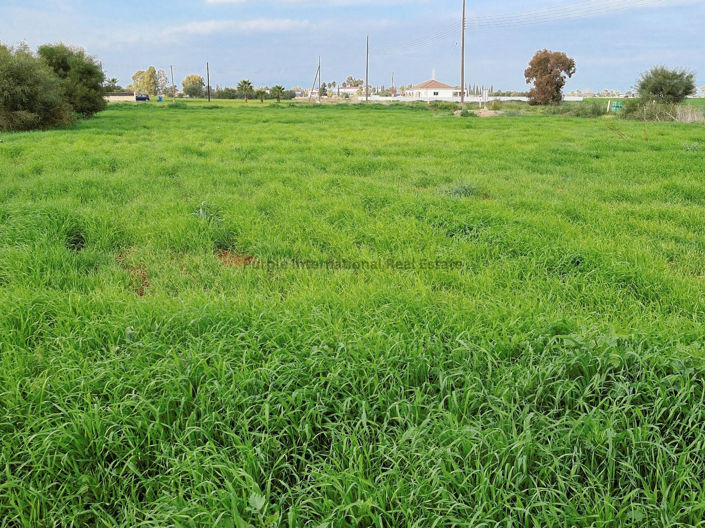 Image No.1-Land for sale