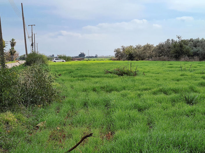 Image No.3-Land for sale