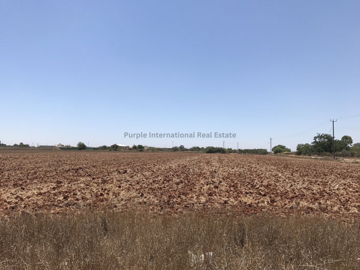 Image No.2-Plot for sale