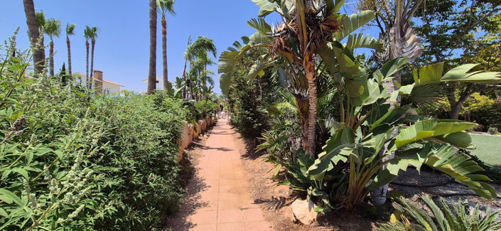 Image No.47-3 Bed Villa for sale