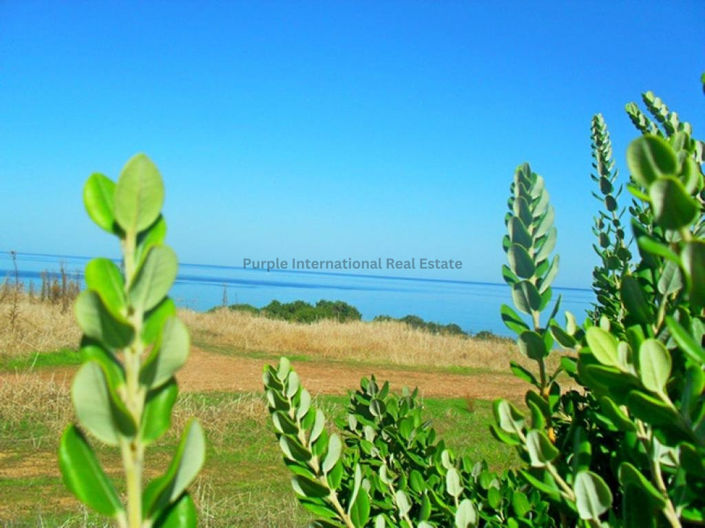 Image No.5-4 Bed Villa for sale