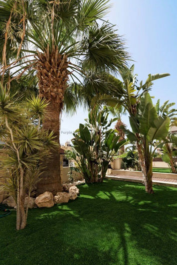 Image No.39-6 Bed Villa for sale