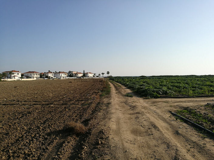 Image No.5-Land for sale