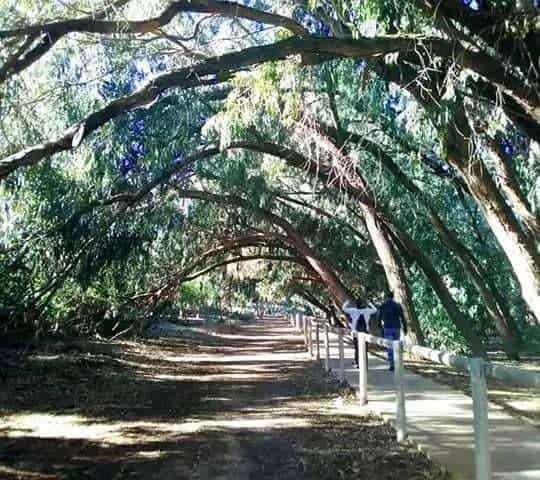 Image No.12-3 Bed Apartment for sale