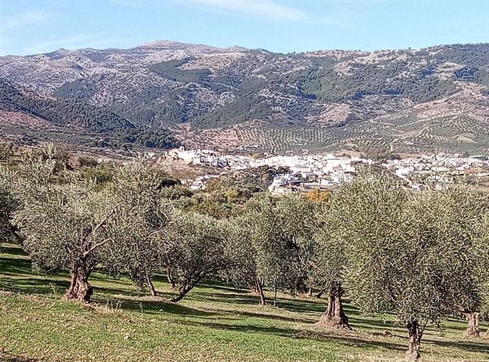 Image No.1-Land for sale