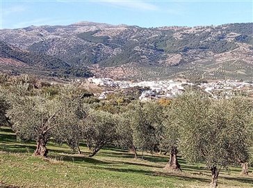 1396-land-for-sale-in-arboleas-56152147