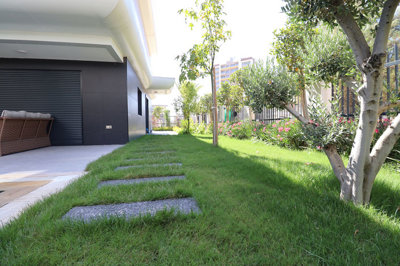 Exterior 9