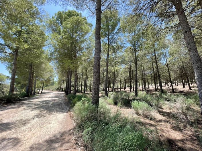 Image No.20-2 Bed House/Villa for sale