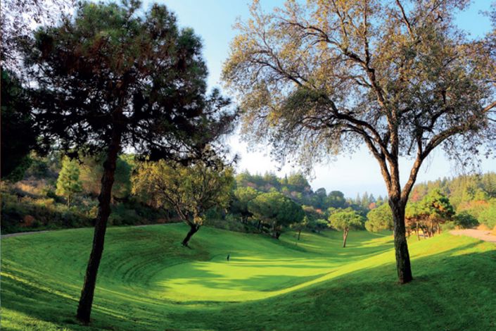 Image No.3-Land for sale