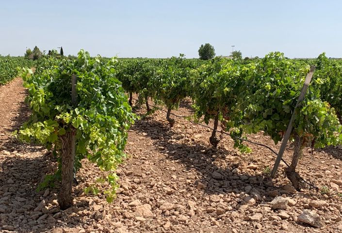 Image No.15-5 Bed House/Villa for sale