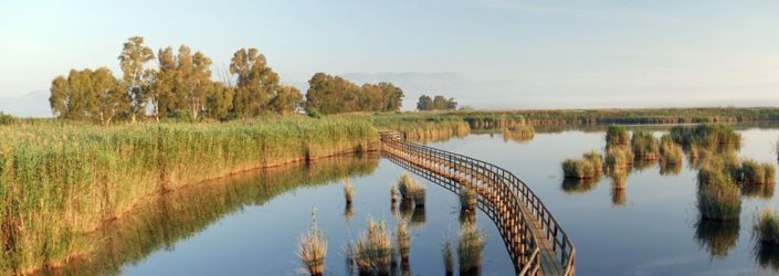 Image No.19-4 Bed House/Villa for sale