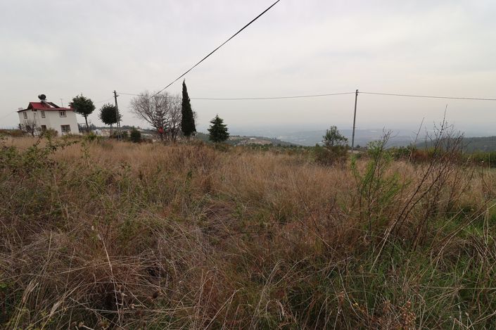 Image No.3-Land for sale