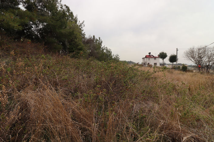 Image No.7-Land for sale