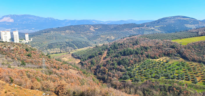 Image No.9-3 Bed Apartment for sale