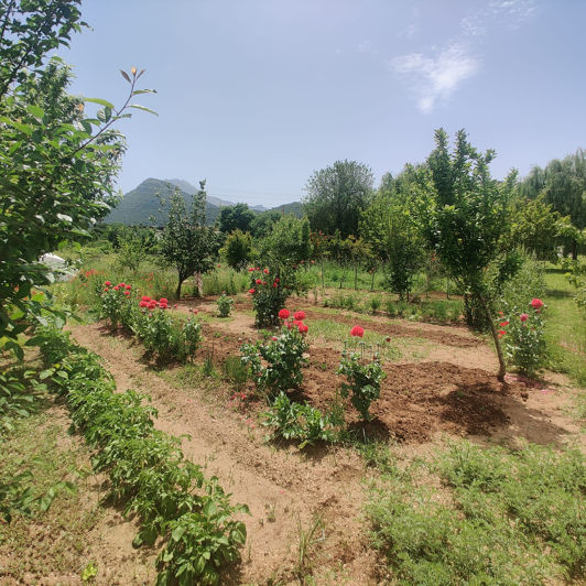 Image No.10-6 Bed House/Villa for sale