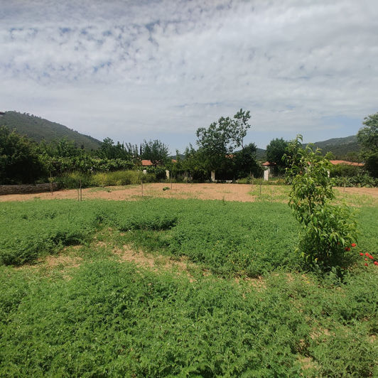 Image No.11-6 Bed House/Villa for sale