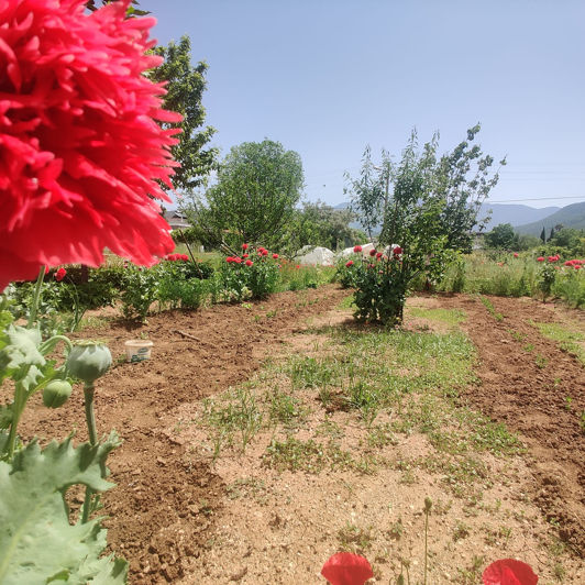 Image No.15-6 Bed House/Villa for sale