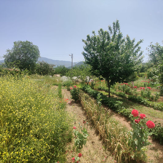 Image No.5-6 Bed House/Villa for sale