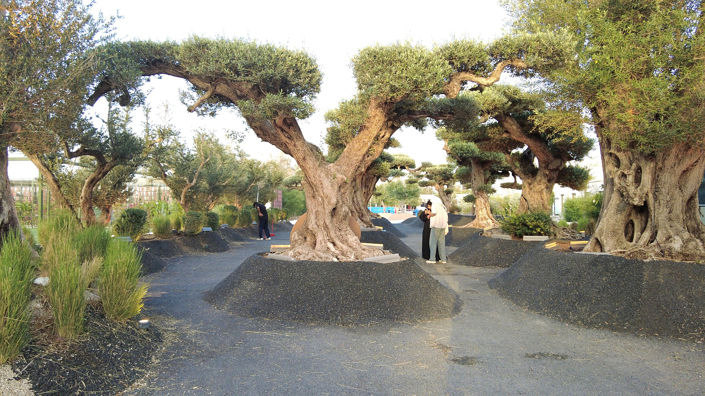 Image No.5-1 Bed Apartment for sale