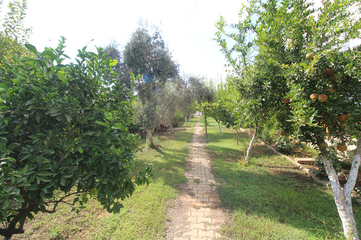 Image No.5-3 Bed House/Villa for sale