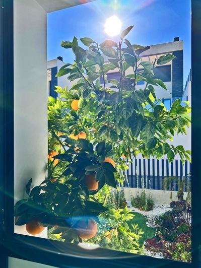 Image No.43-3 Bed Villa for sale