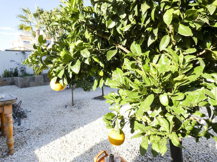 Image No.45-5 Bed Villa for sale