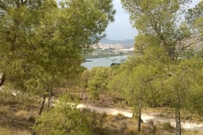 Image No.26-4 Bed Townhouse for sale