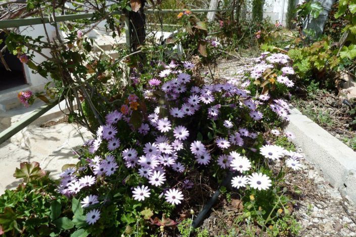 Image No.27-4 Bed Townhouse for sale