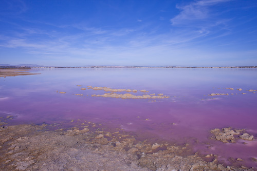 Image No.40-2 Bed Villa for sale