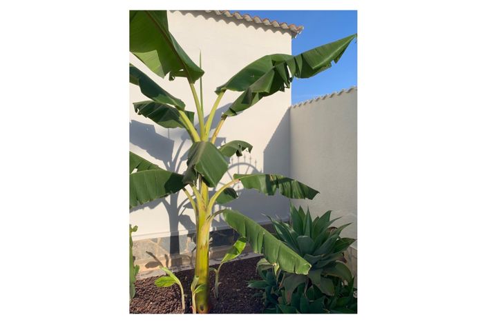 Image No.16-4 Bed Villa for sale