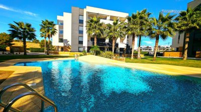 69716penthouse-villamartin-los-altos25