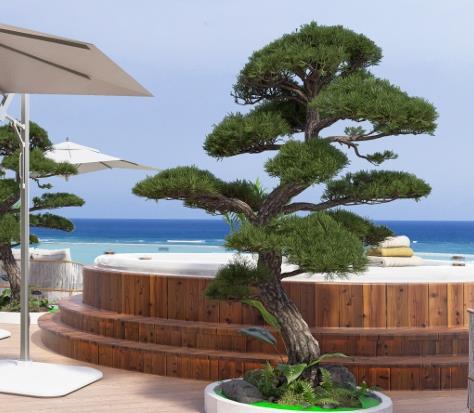 Image No.35-1 Bed Apartment for sale