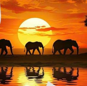 Image No.12-1 Bed Apartment for sale