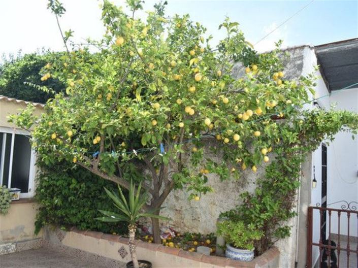 Image No.22-4 Bed Country House for sale